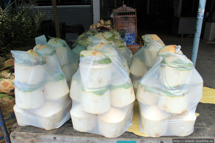 Кокосовые орехи на продажу — оптом Бангкок, Таиланд