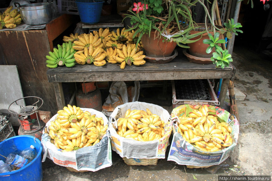 Бананы Бангкок, Таиланд