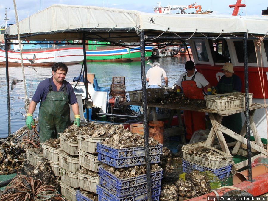 Осень в Галисии — сезон морепродуктов Галисия, Испания