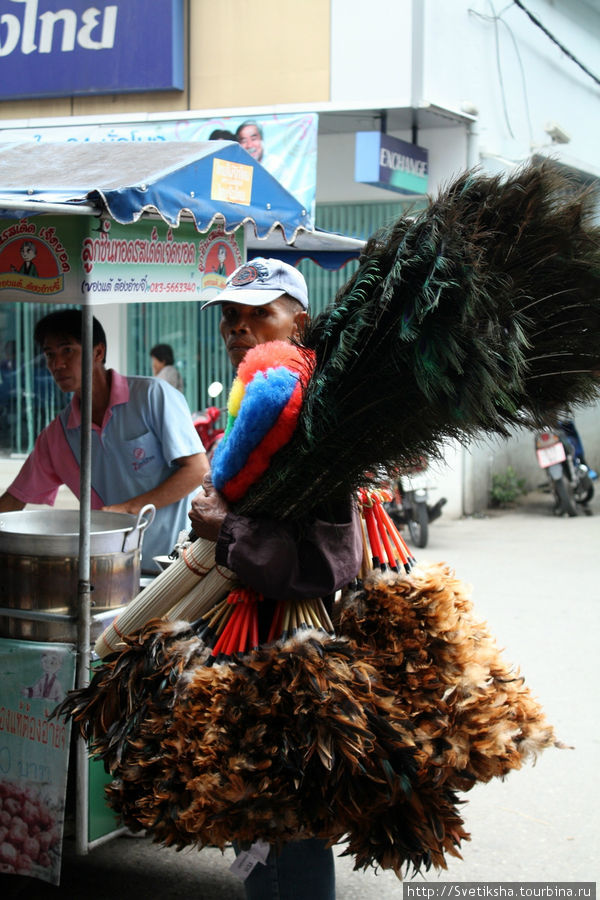 Продавец страусовых перьев. Бедные птички! Чианграй, Таиланд