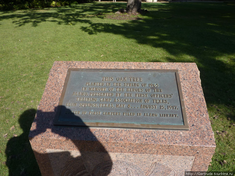 Табличка около дуба, который был посажен весной 1965 году в память о героях Аламо Сан-Антонио, CША