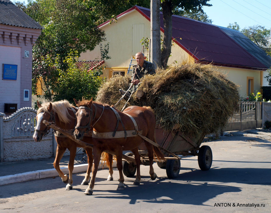 Млынив. Волынская область, Украина