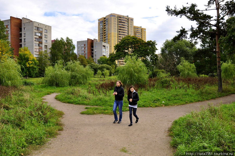 Александрино парк в санкт петербурге