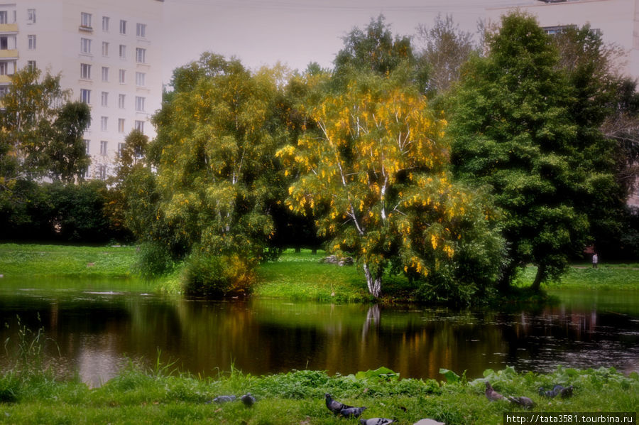 Парк Александрино Санкт-Петербург, Россия
