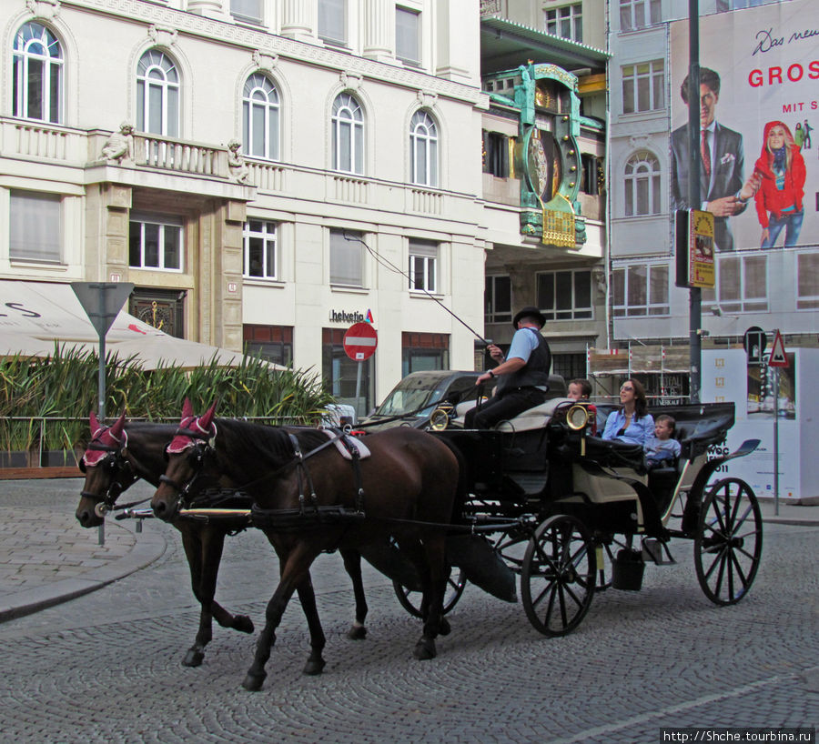 кучер одновременно выполняет роль экскурсовода Вена, Австрия