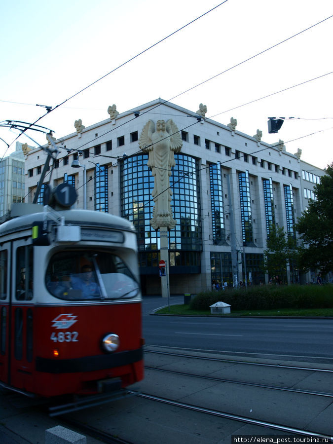 кроме современных трамваев в Вене ходят также и старые трамвайчики Вена, Австрия