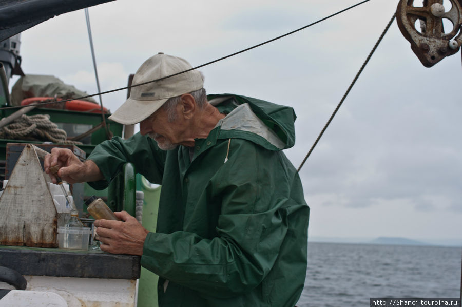 Измерение количества кислорода в воде Рейнеке остров, Россия