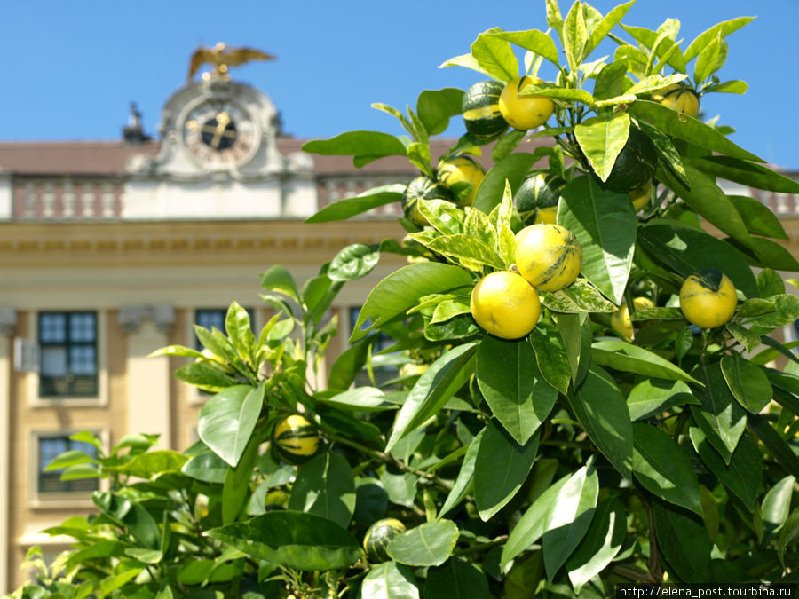 Сад наследного принца Рудольфа Вена, Австрия