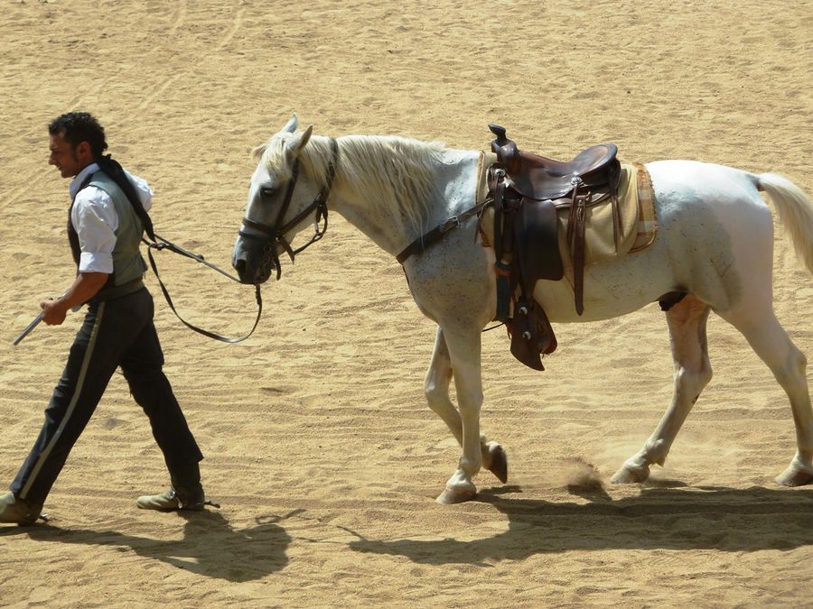 Лошади и ковбои Альмерия, Испания