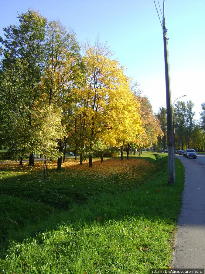 Осень. Колпино, Россия