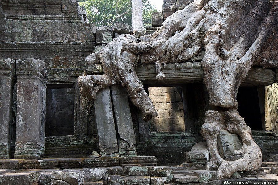 Храмы Ангкора. Пре Хан Ангкор (столица государства кхмеров), Камбоджа