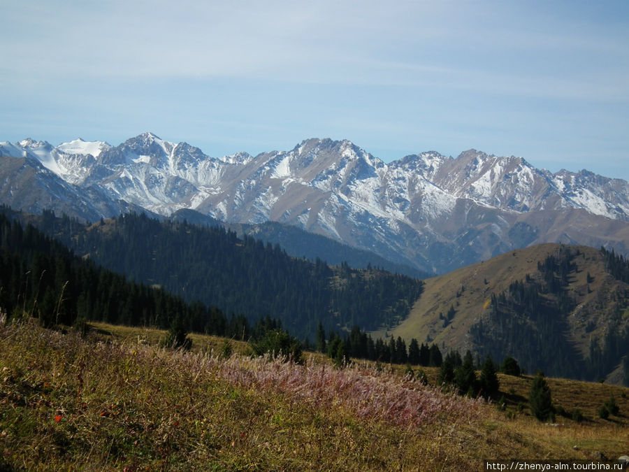 Алатау красноярск