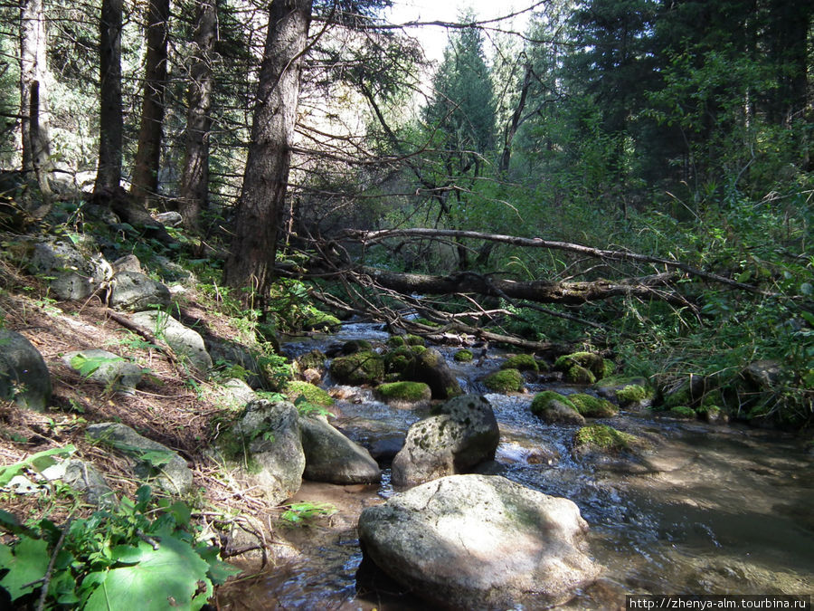 Жайляу Заилийский Алатау (горный хребет), Казахстан