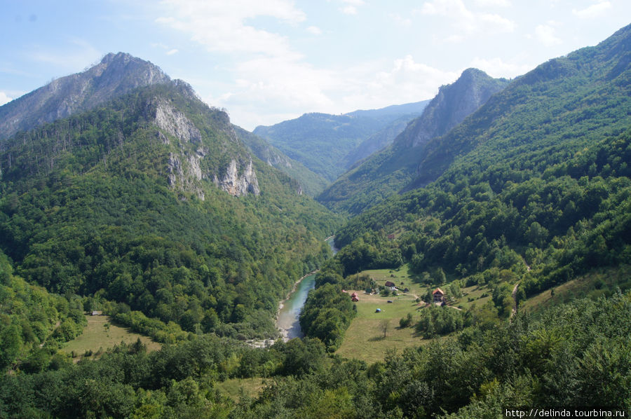 Долина реки Тары. Черногория