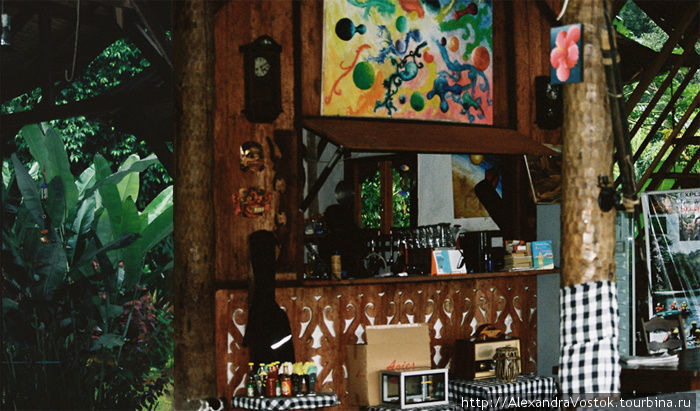 бар в лесу Суматра, Индонезия