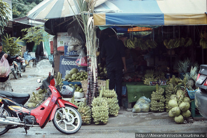 бананы-кокосы Таиланд