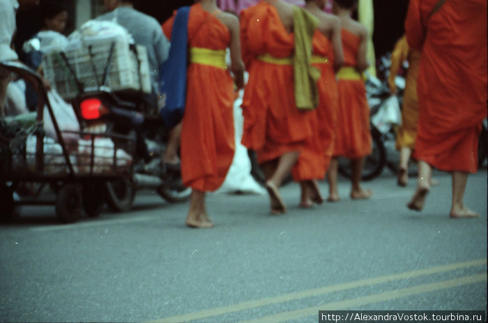 раннее утро, люди предлагают пищу монахам. Таиланд