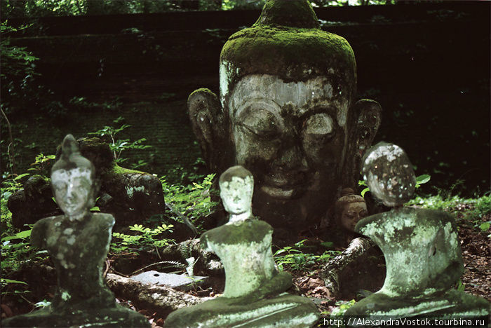 старинная голова будды. Северный Таиланд, Таиланд