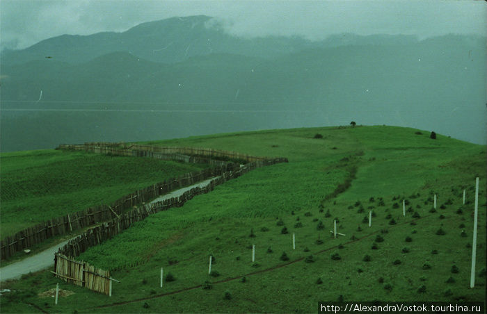 предгорье Гималаев Провинция Луангпрабанг, Лаос