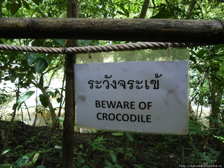 Крокодила мы так и не нашли...а может быть и к лучшему.... :) Пак-Чонг, Таиланд