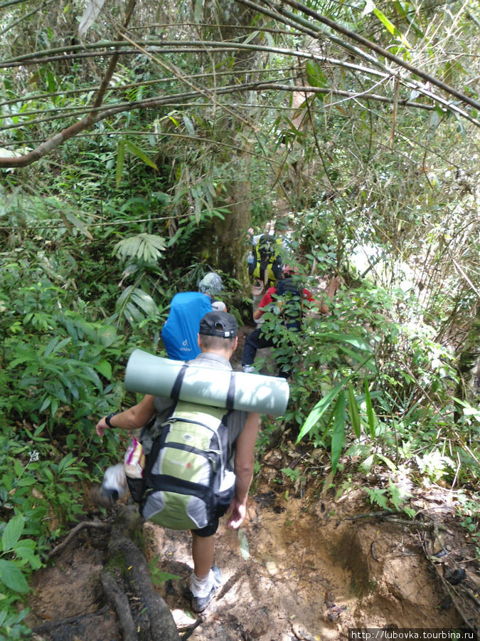 В Национальном парке Khao Yai ( КАО ЯЙ) Пак-Чонг, Таиланд