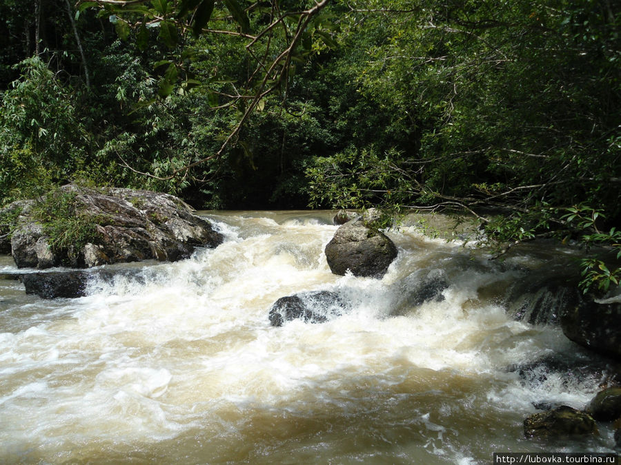 В Национальном парке Khao Yai ( КАО ЯЙ) Пак-Чонг, Таиланд