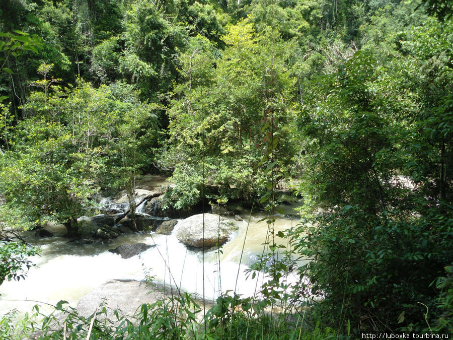 В Национальном парке Khao Yai ( КАО ЯЙ) Пак-Чонг, Таиланд