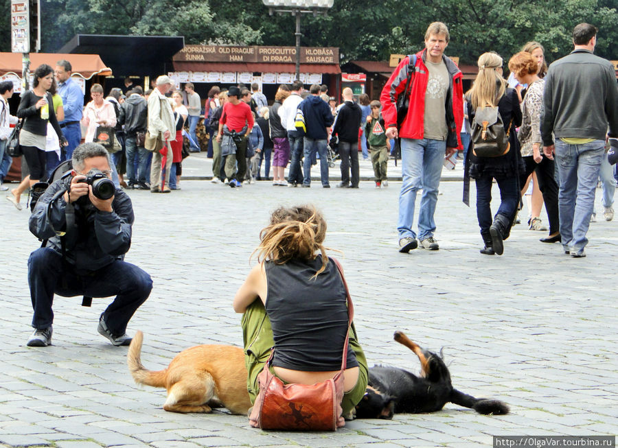 Не всем нравится, когда их фотографируют незнакомые люди. Но эта девушка была невозмутима... Прага, Чехия