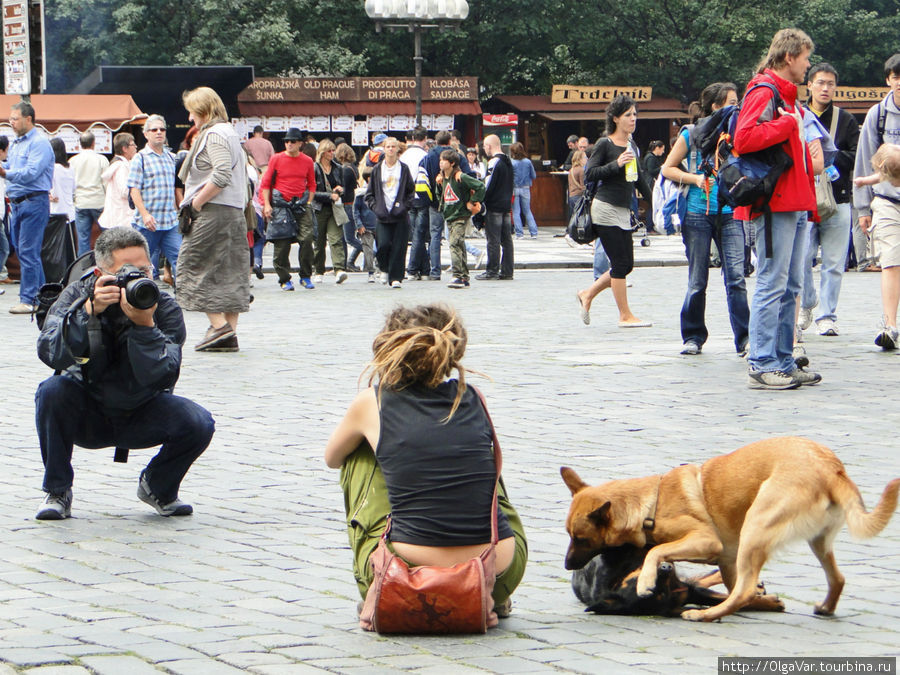 Кто — сидящую девушку и шаловливых собачек... Прага, Чехия