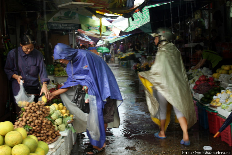 Фруктовый базар Винь, Вьетнам
