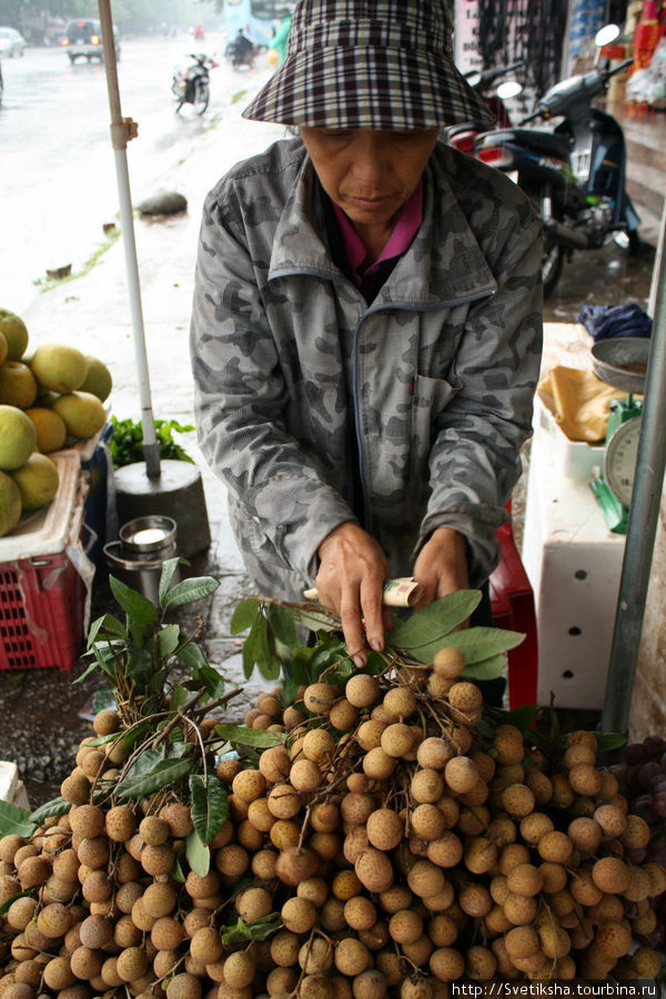 Продавщица личей Винь, Вьетнам