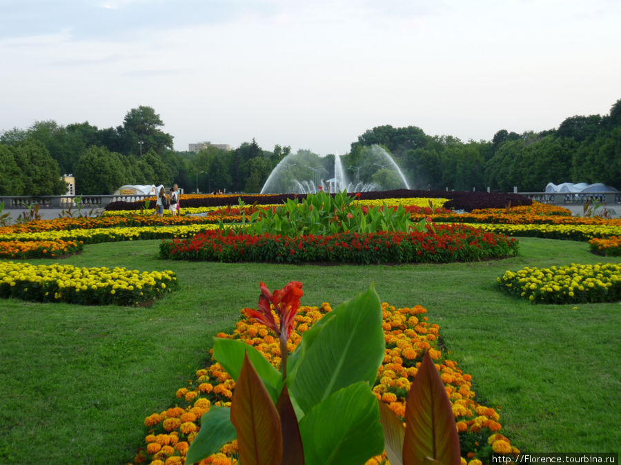 Парк Горького летом Москва, Россия