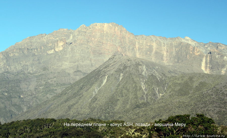 Конус Эш и вершина Меру Аруша Национальный Парк и гора Меру (4566м), Танзания