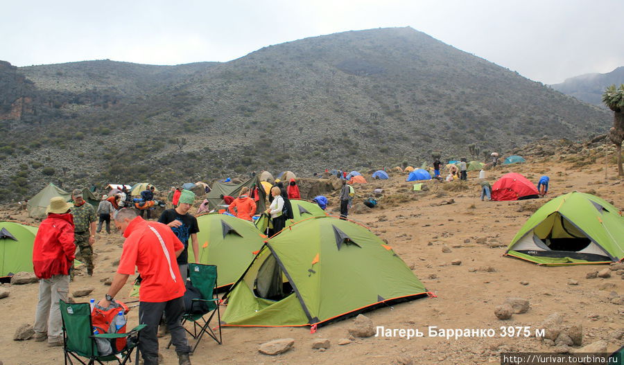 Лагерь Барранко -4000 м. Килиманджаро Национальный Парк, Танзания