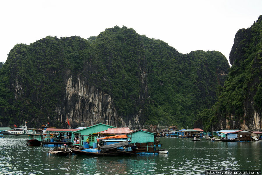 Плавучая деревня Халонг бухта, Вьетнам