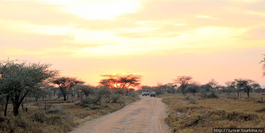 Восход солнца в Серенгети Серенгети Национальный Парк, Танзания