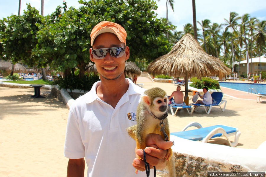 фотограф с обезьянкой Уверо-Альто, Доминиканская Республика