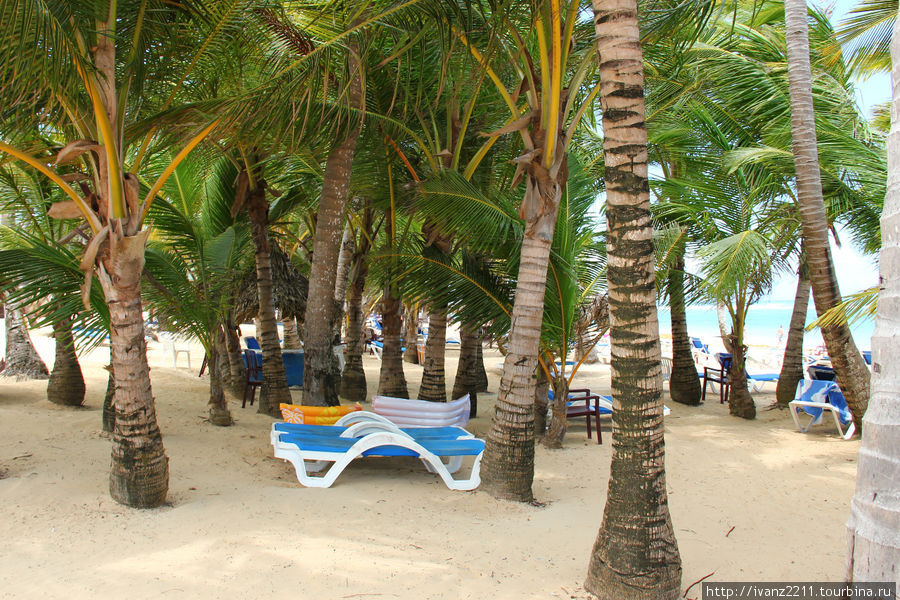 под пальмами Уверо-Альто, Доминиканская Республика