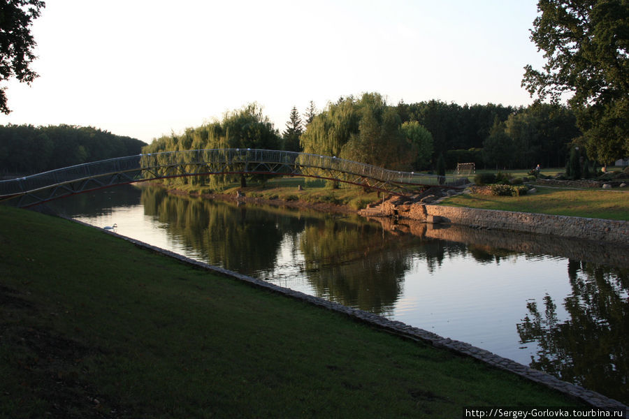 Самый большой в мире лес созданный человеком Мелекино, Украина