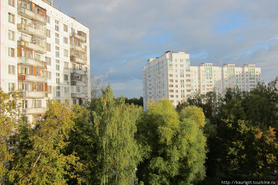 Клевое утро перед выездом) Дмитров, Россия