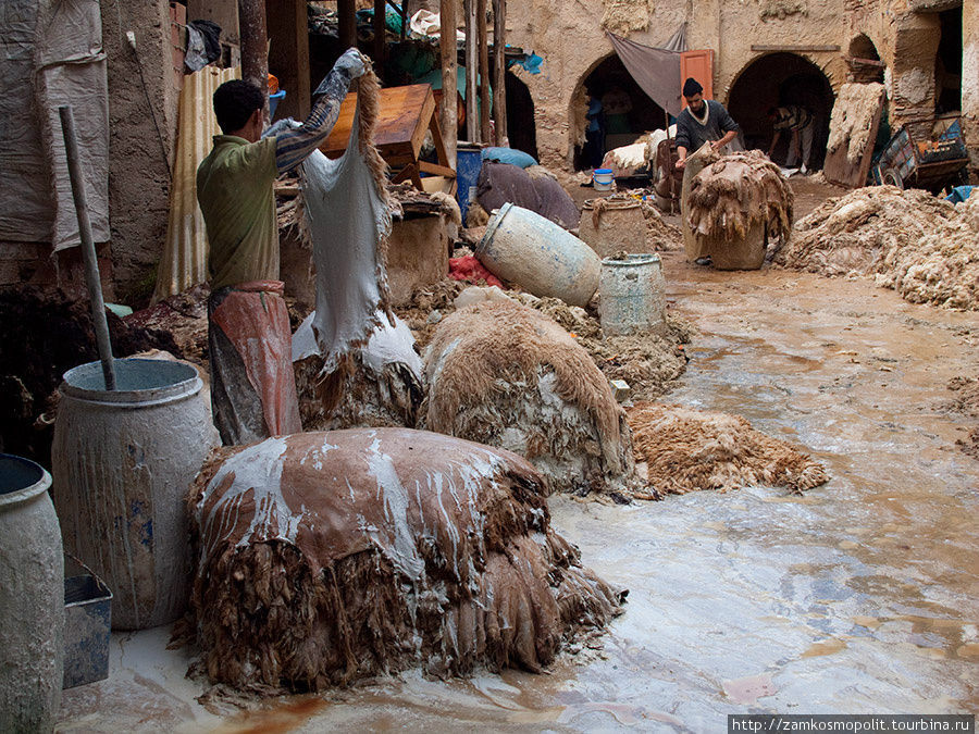 Очистка кожи от шерсти. Фес, Марокко