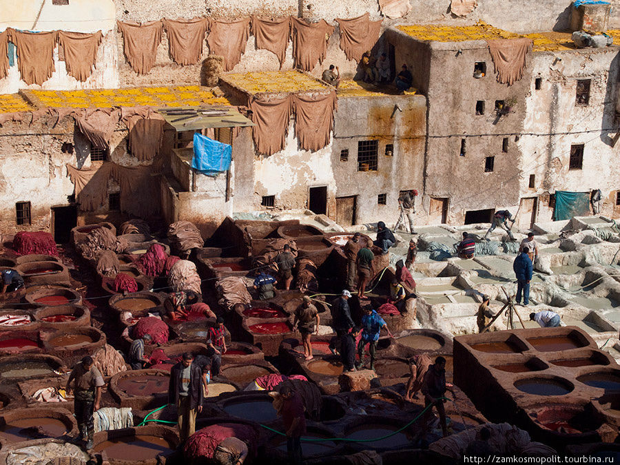 Кожевенные мастерские в Фесе Фес, Марокко