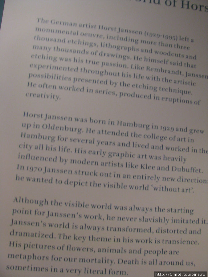 В музее также проводятся выставки других художников. Когда я побывала в музее, там проходила выставка работ немецкого художника Horst Janssen(1929-1995). Его рисунки произвели на меня незабываемое впечатление. Амстердам, Нидерланды