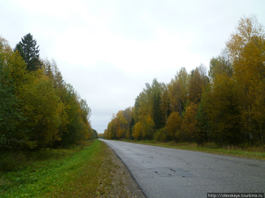 А природа осенью прекрасна,и дорога ведет дальше Буй, Россия