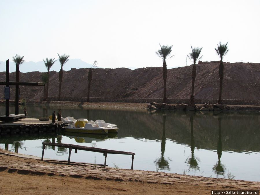 Катамараны на озере. Эйлат, Израиль