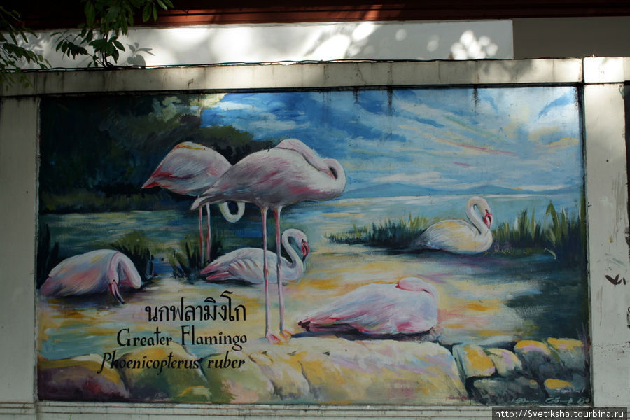 Зоопарк Бангкока Бангкок, Таиланд