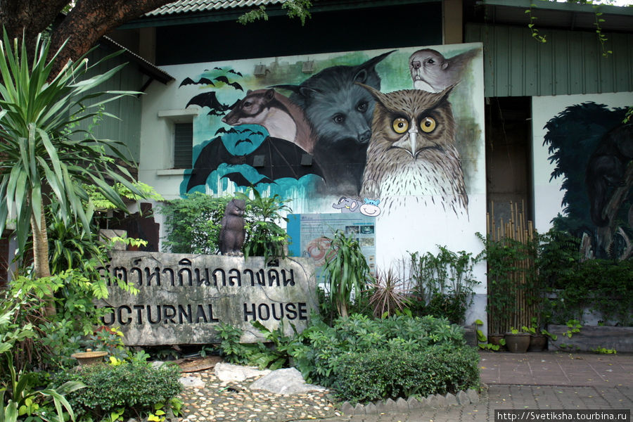 Зоопарк Бангкока Бангкок, Таиланд