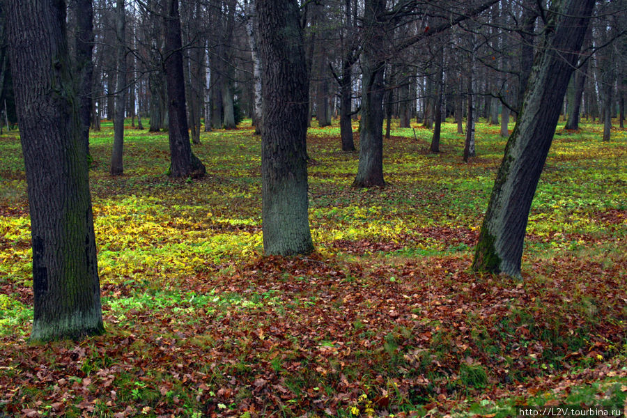 Нижний парк Петергоф, Россия