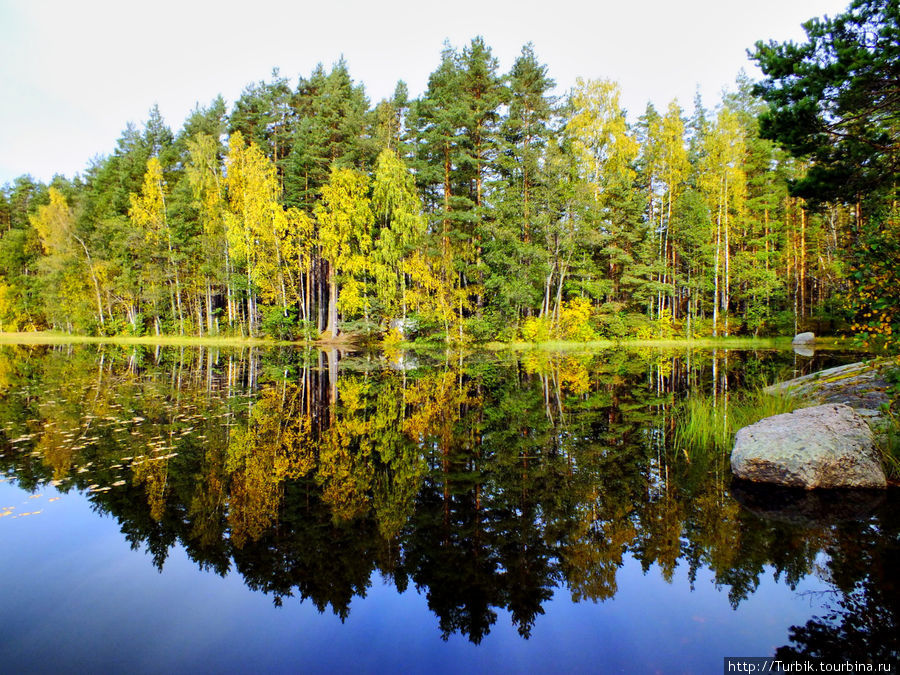 Осень на Вуоксе Васильево, Россия