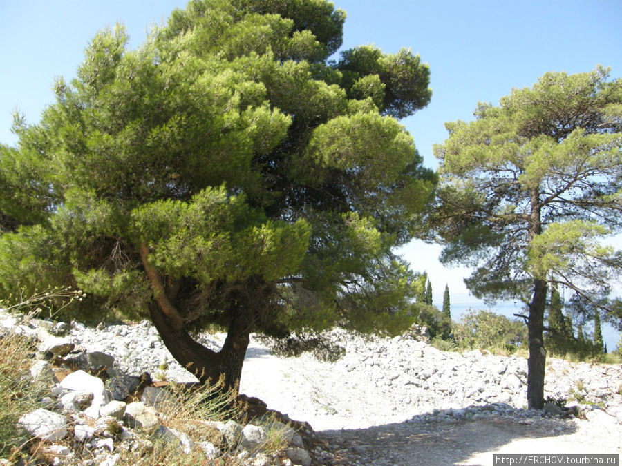 От Дионисия к Павлу Автономное монашеское государство Святой Горы Афон, Греция